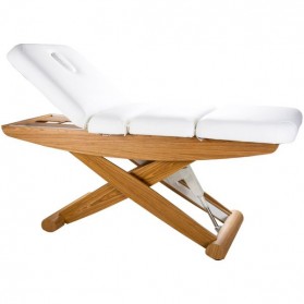 Electric 4 Section Wooden Massage Table with 3 motors