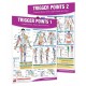 Trigger Points Chart set of 2 - Laminated