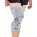 Osteoarthritis (OA) Upright Knee Joint Support with ROM Adjustment